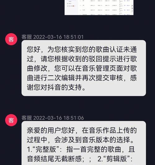 从申诉理由的撰写技巧到成功的案例分析（从申诉理由的撰写技巧到成功的案例分析）