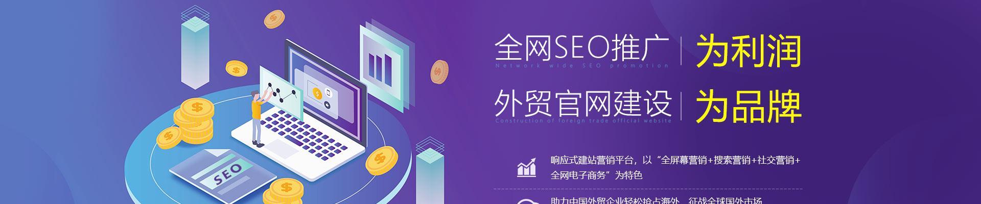 B2C网站搜索引擎优化SEO实践指南（提高排名）