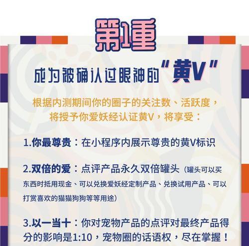 直通车实时访客怎么看？如何分析数据提升效果？