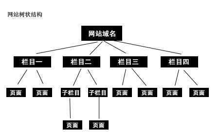 网站SEO优化六大方向分析？如何有效提升网站排名？