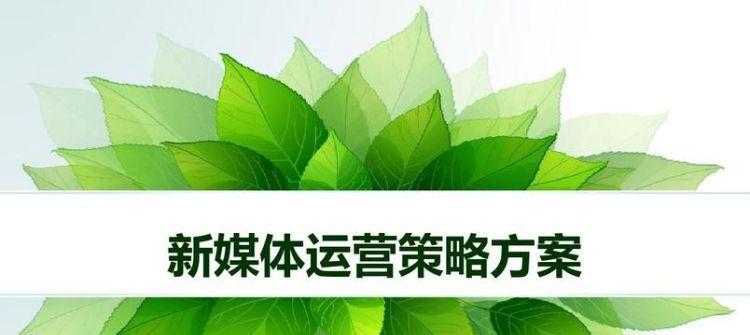 快手新增医用保健养生类目商品发布规则是什么？如何合规上架？