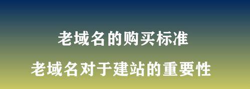 新老域名在SEO中的优势和劣势是什么？