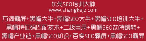 网站被黑客攻击了怎么办？如何进行有效的网站优化和防护？