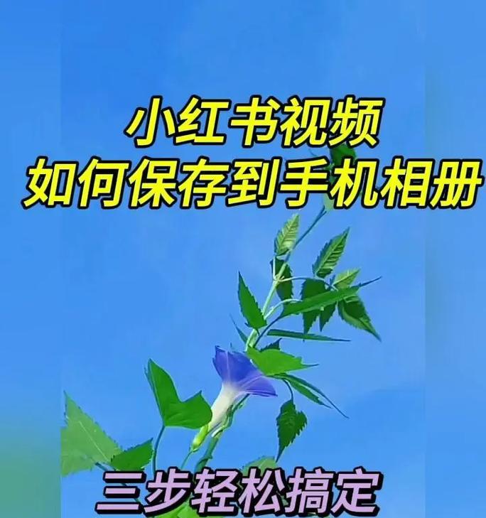 小红书视频下载的方法有哪些？